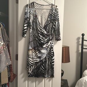 Slinky Zebra dress